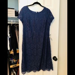 Lace navy-blue dress by Laundry.